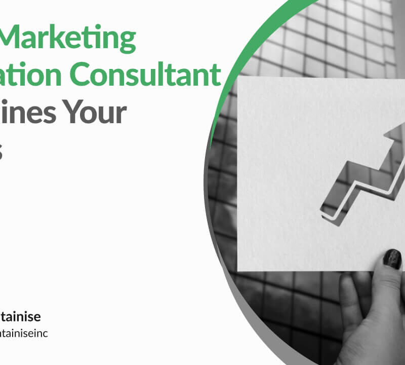 How a Marketing Automation Consultant Streamlines Your Success