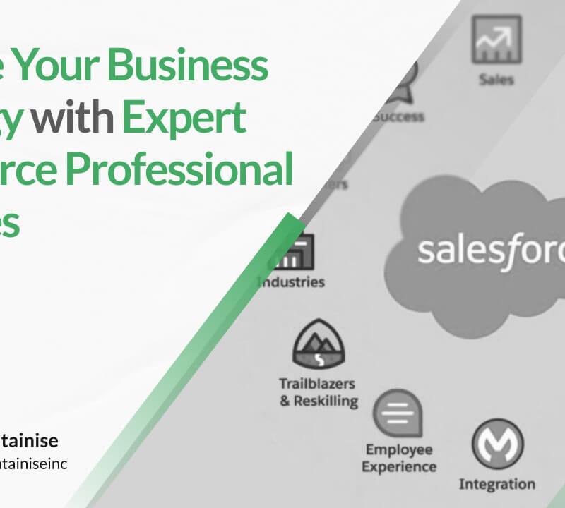 Elevate Your Business Strategy with Expert Salesforce Professional Services