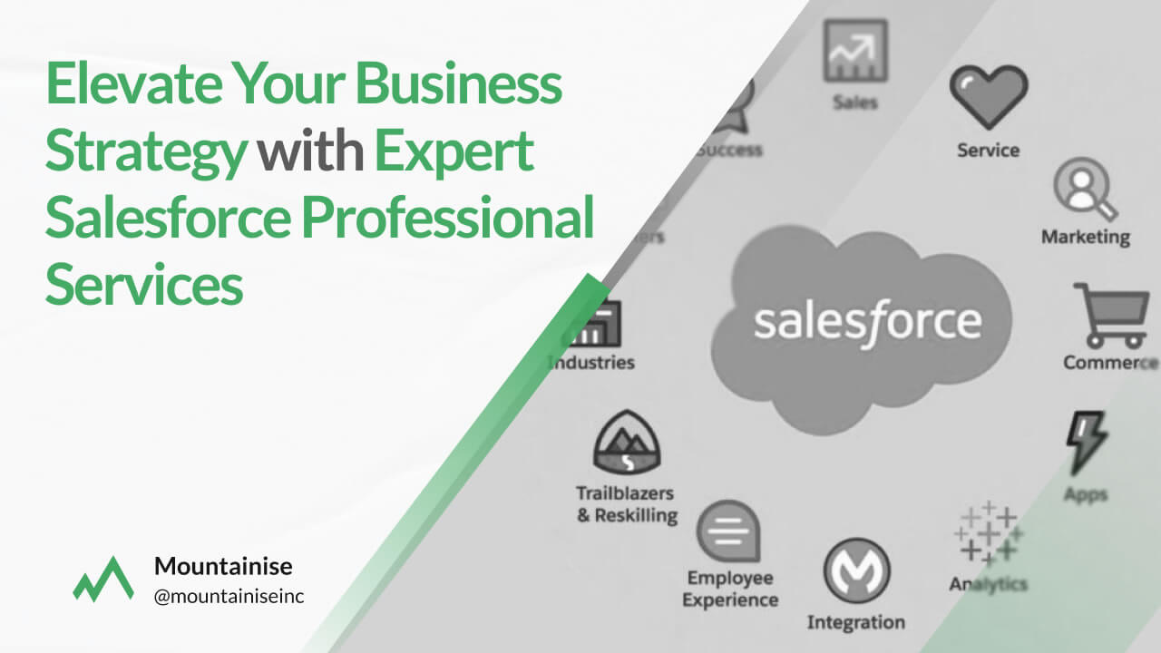 Elevate Your Business Strategy with Expert Salesforce Professional Services