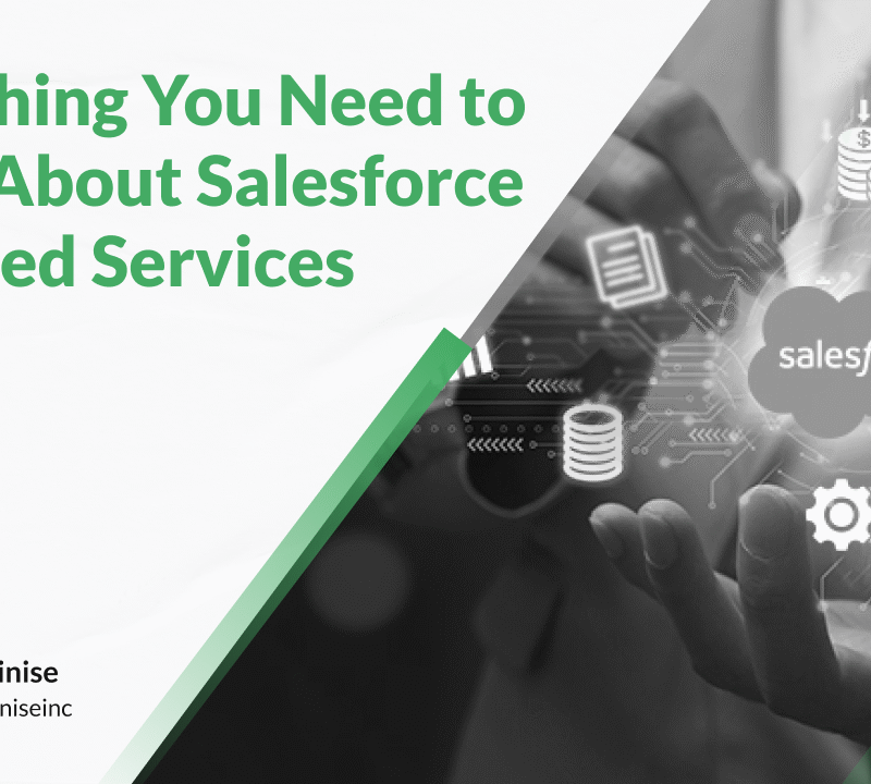 Everything You Need to Know About Salesforce Managed Services